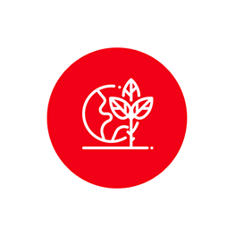 eco responsable